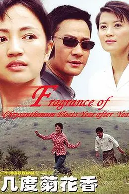 几度菊花香封面图