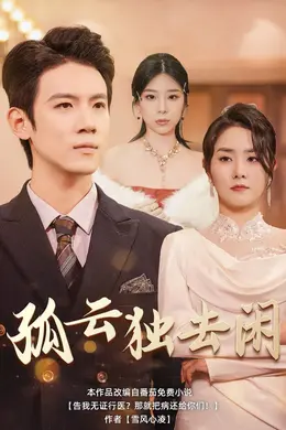 孤云独去闲海报图片