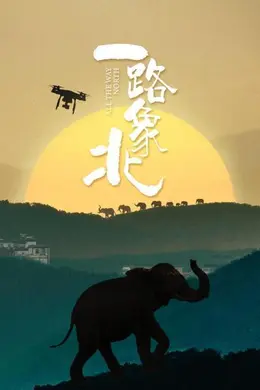 一路“象”北海报图片