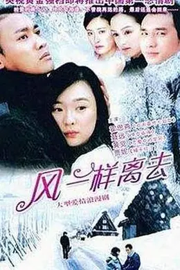 像风一样离去封面图