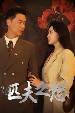 匹夫之怒海报图片