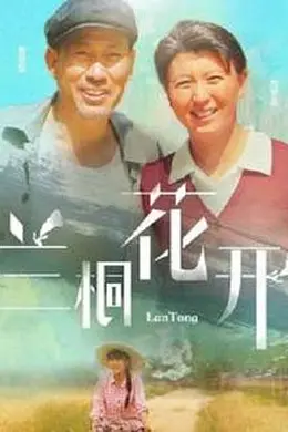 兰桐花开封面图