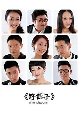 野鸽子封面图