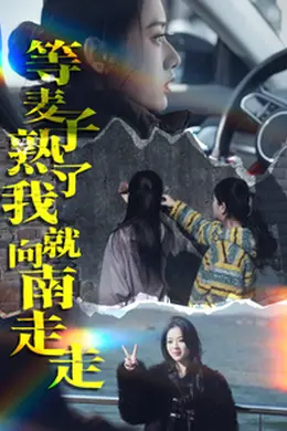 等麦子熟了我就向南走走海报图片