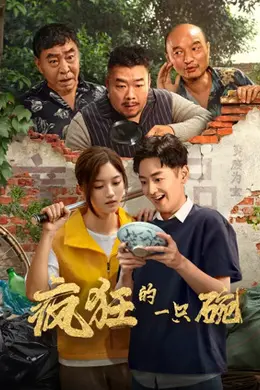 疯狂的一只碗封面图