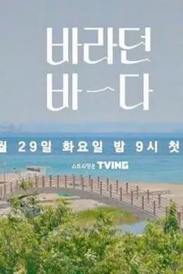 希望之海封面图