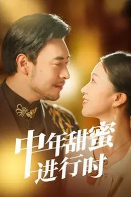 中年甜蜜进行时海报图片