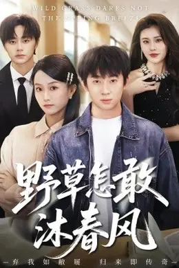 野草怎敢沐春风海报图片