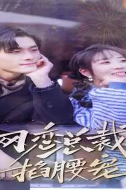 网恋总裁掐腰宠海报图片