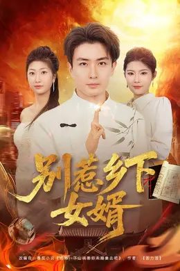 别惹乡下女婿海报图片