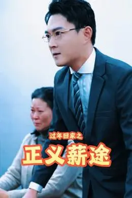 过年回家之正义薪途海报图片