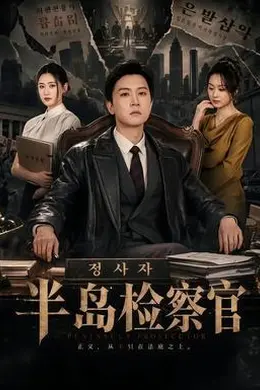 半岛检察官封面图