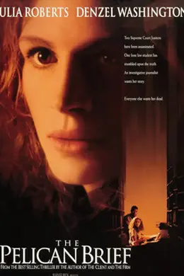 塘鹅暗杀令封面图