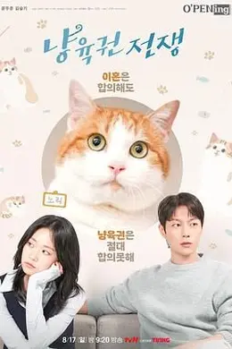 喵育权战争封面图