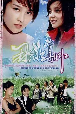 那小子真帅封面图