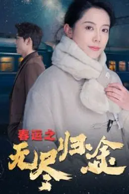 春运之无尽归途海报图片