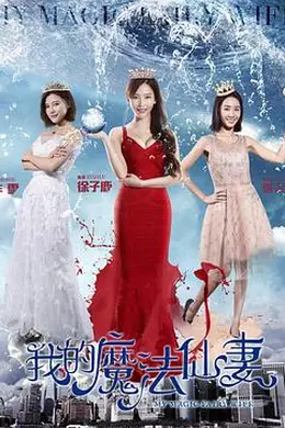 我的魔法仙妻封面图