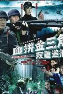 双重追捕血拼金三角封面图