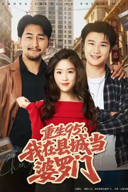 重生95，我在县城当婆罗门海报图片