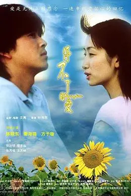 停不了的爱2002封面图