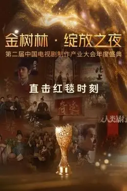 金树林绽放之夜封面图