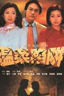 温柔陷阱2001封面图