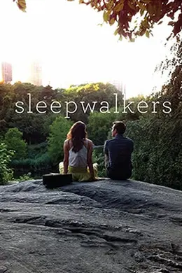 梦游者海报图片