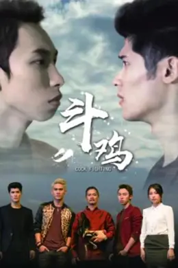 斗鸡封面图