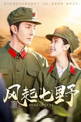 风起七野海报图片