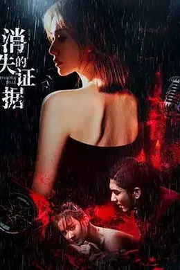 消失的证据封面图