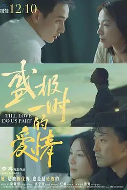 盛极一时的爱情封面图