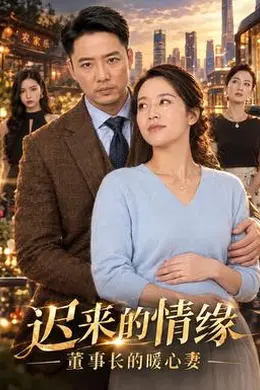 迟来的情缘，董事长的暖心妻封面图