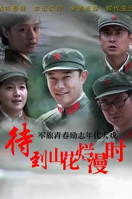 待到山花烂漫时封面图