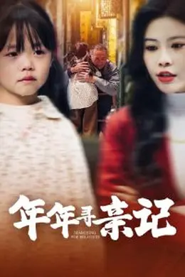年年寻亲记海报图片