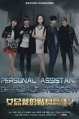 女总裁的贴身高手2封面图