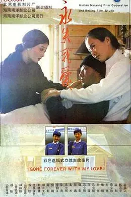 永失我爱封面图