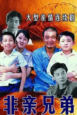 非亲兄弟海报图片