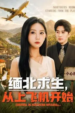 缅北求生，从上飞机开始封面图