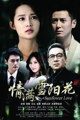 情满雪阳花封面图