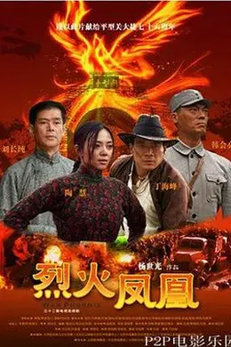 烈火凤凰封面图