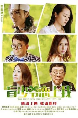 盲少爷恋上我封面图