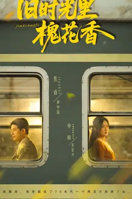 旧时光里槐花香封面图