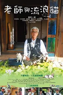 老师与流浪猫封面图