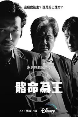 赌命为王第二季封面图