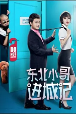 东北小哥进城记封面图