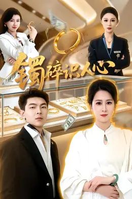 镯碎识人心封面图