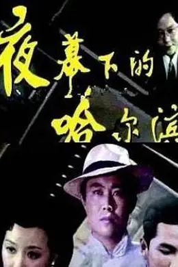 夜幕下的哈尔滨封面图