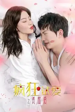 疯狂试爱之勇敢爱封面图