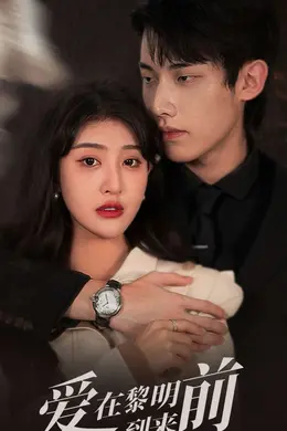 爱在黎明到来前海报图片