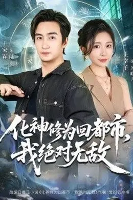 化神修为回都市，我绝对无敌海报图片